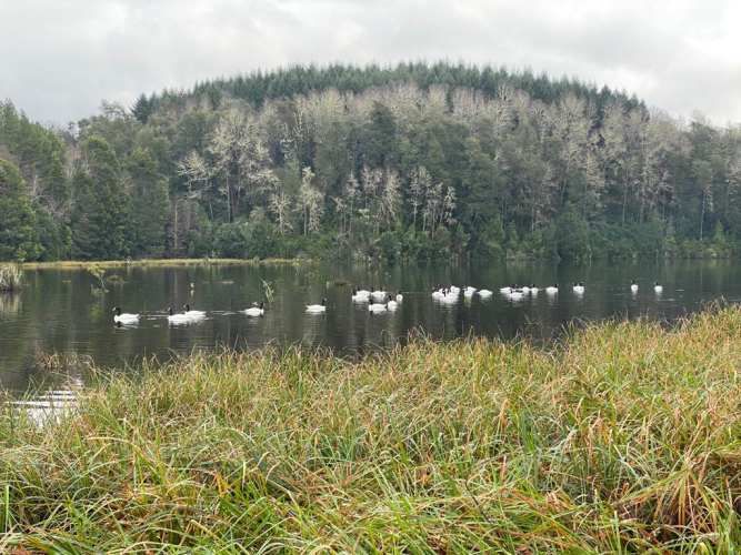 cabañas laguna magica