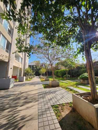 Arriendo disponible  (131535)