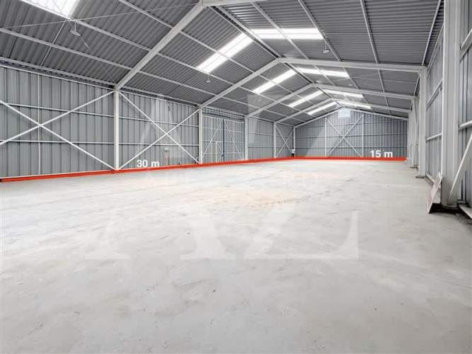 INDUSTRIAL Ruta 146, Cabrero