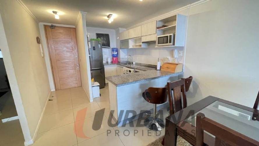 Departamento JARDIN DEL MAR DIARIO COQUIMBO