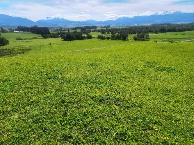 PARCELAS EN VALLE SIMPSON