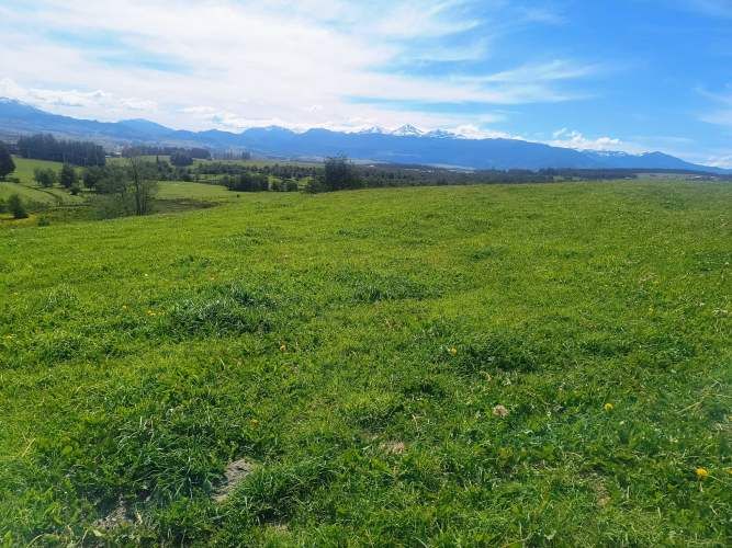 PARCELAS EN VALLE SIMPSON