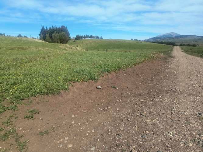 PARCELAS EN VALLE SIMPSON