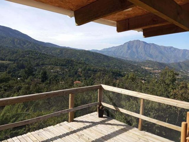 Hermosa Cabaña en Medio de Bosque Nativo