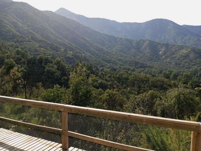 Hermosa Cabaña en Medio de Bosque Nativo