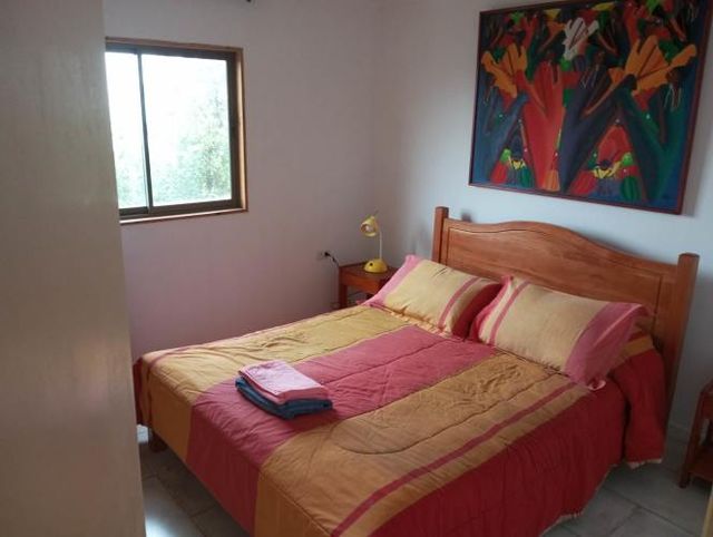 Hermosa Cabaña en Medio de Bosque Nativo