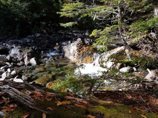 Melipeuco/orilla río (131598)