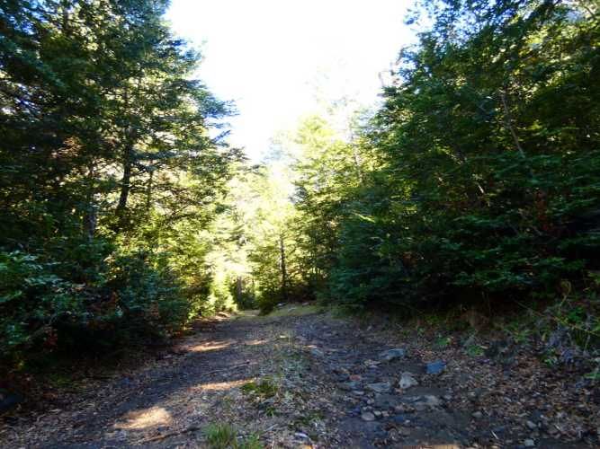 Melipeuco/orilla río (131598)