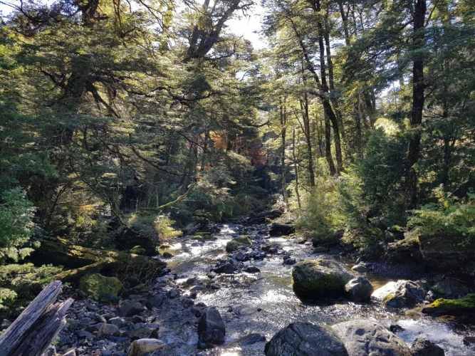 Melipeuco/orilla río (131598)