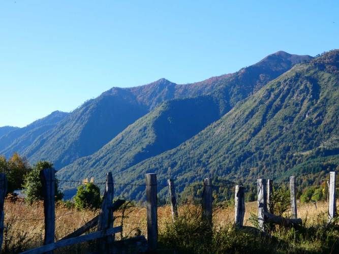 Melipeuco/orilla río (131598)