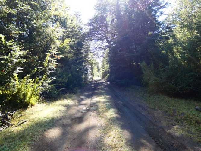 Melipeuco/orilla río (131598)