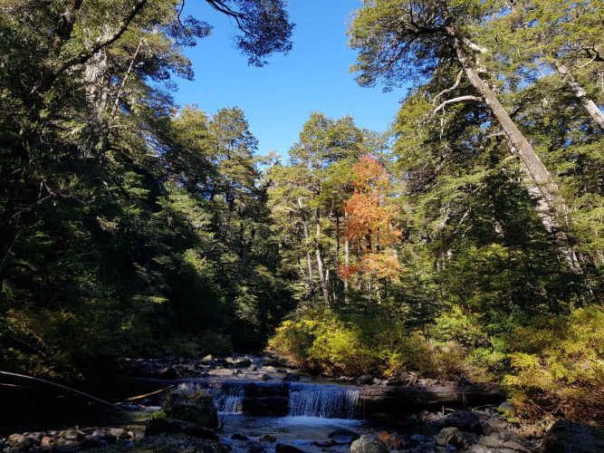 Melipeuco/orilla río (131598)