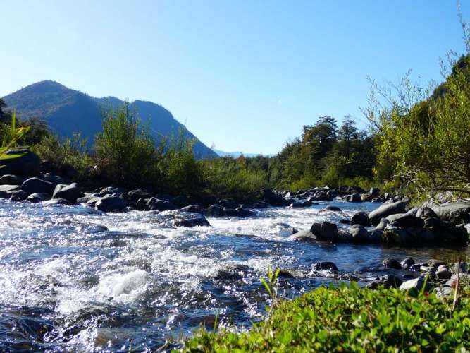 Melipeuco/orilla río (131598)