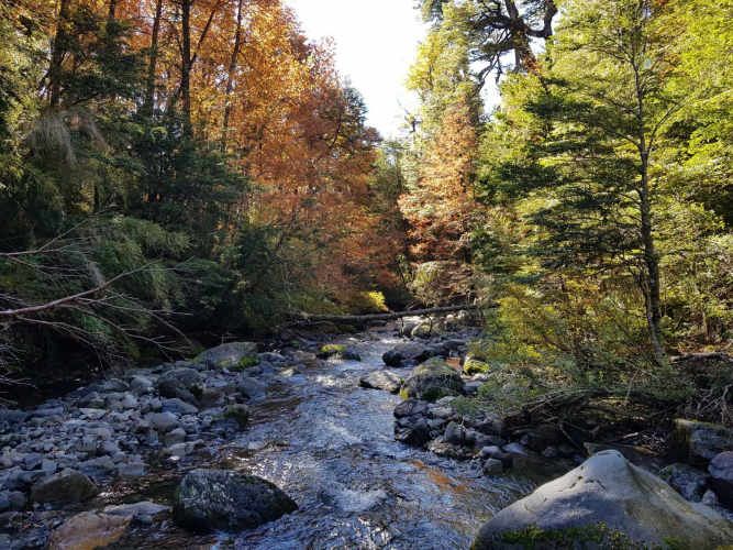 Melipeuco/orilla río (131598)