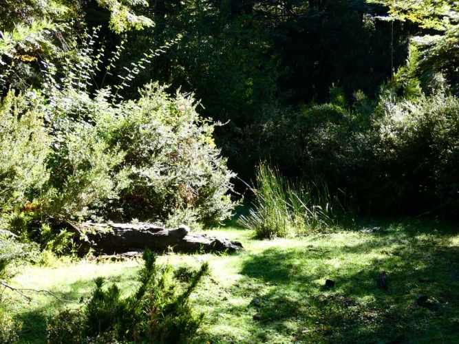 Melipeuco/orilla río (131598)