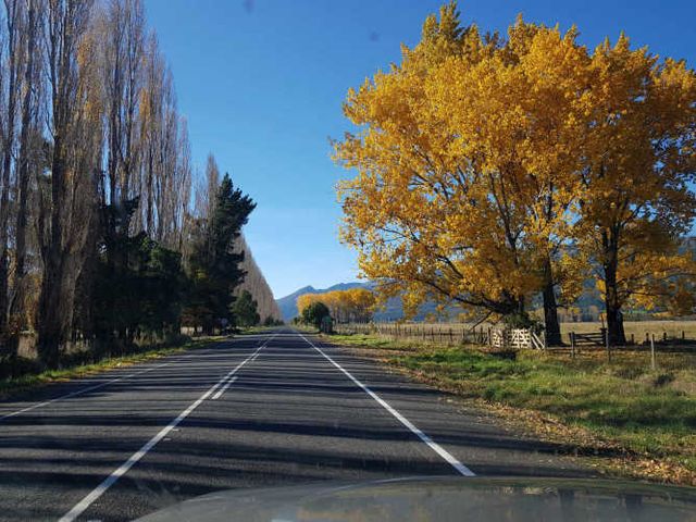 Melipeuco/orilla río (131646)