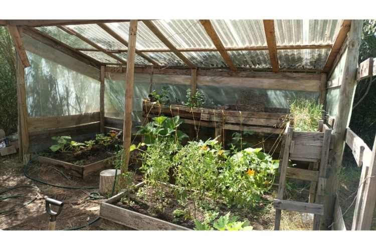GRAN BODEGA Y DOS CABAÑAS EN PARCELA 12.000 M2 A 10 KM DEL CENTRO DE PUCON