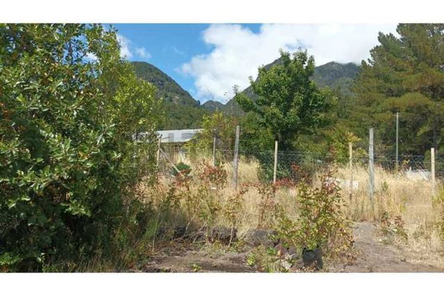 GRAN BODEGA Y DOS CABAÑAS EN PARCELA 12.000 M2 A 10 KM DEL CENTRO DE PUCON