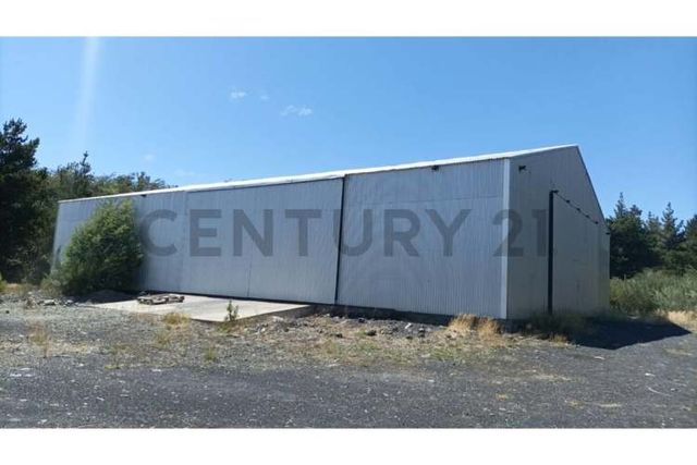 GRAN BODEGA Y DOS CABAÑAS EN PARCELA 12.000 M2 A 10 KM DEL CENTRO DE PUCON
