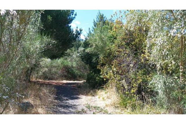 GRAN BODEGA Y DOS CABAÑAS EN PARCELA 12.000 M2 A 10 KM DEL CENTRO DE PUCON