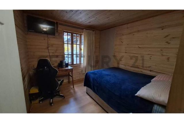 GRAN BODEGA Y DOS CABAÑAS EN PARCELA 12.000 M2 A 10 KM DEL CENTRO DE PUCON