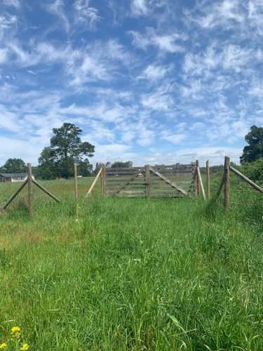 NATURALEZA Y AIRE PURO TE ESPERAN EN SANTA PAULA