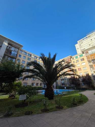 aprovecha de arrendar dpto familiar (131710)