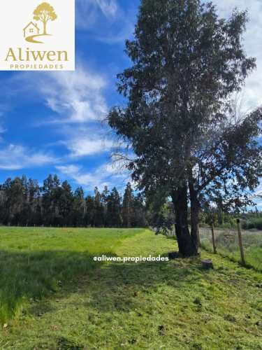 Venta Parcela en Quillón