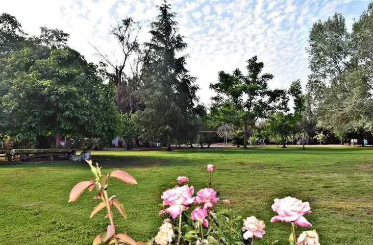 Parcela, Santa Luisa, Chicureo, 4dormitorios (131810)