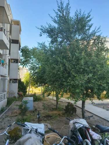 Departamento en arriendo en Nos