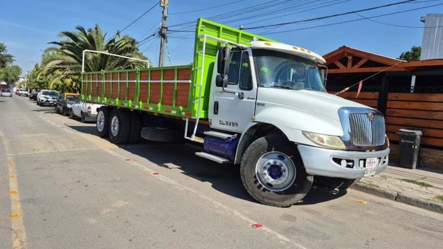 Camion Plano inter 4300