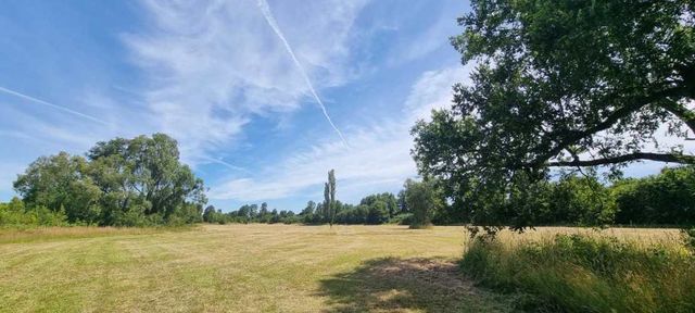 NUEVO PROYECTO DE PARCELAS PUERTO NUEVO  (131855)