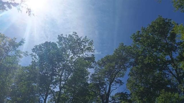 PARCELA Camino Los Copihues, Parcelación Los Copihues