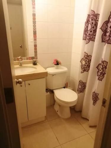 DEPARTAMENTO Al llegar a Rodrigo de Araya, pleno Macul