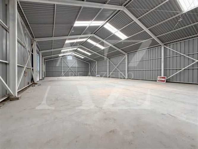 BODEGA Ruta 146, Cabrero