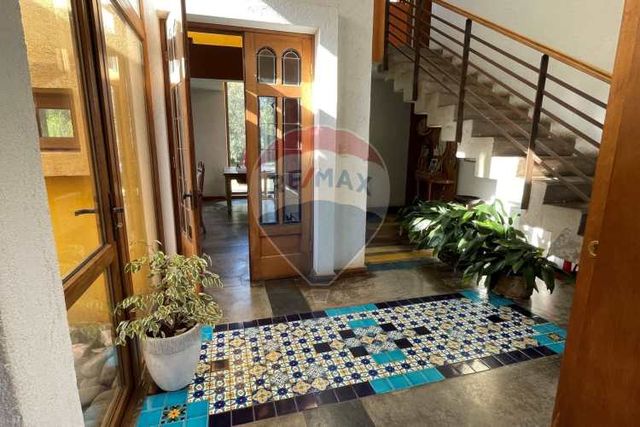 Colegios trewhela´s, rayen / lo pinto, chicureo