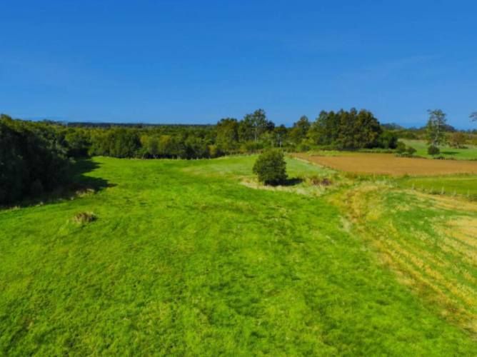 VENTA DE PARCELAS LOTEO RANCO NATIVO, 5000M2