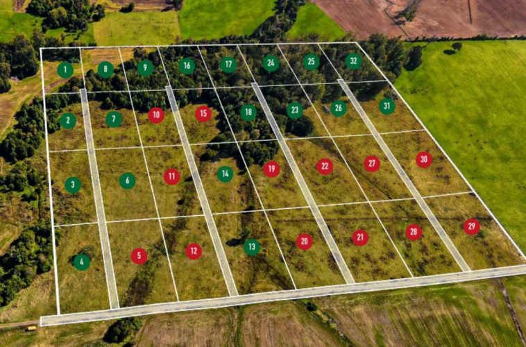 VENTA DE PARCELAS LOTEO RANCO NATIVO, 5000M2