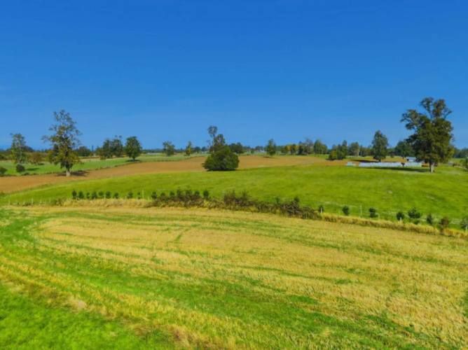 VENTA DE PARCELAS LOTEO RANCO NATIVO, 5000M2