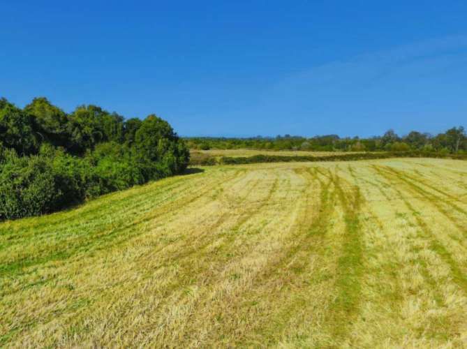 VENTA DE PARCELAS LOTEO RANCO NATIVO, 5000M2