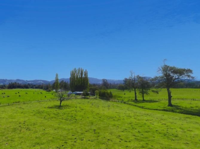 VENTA DE PARCELAS LOTEO RANCO NATIVO, 5000M2