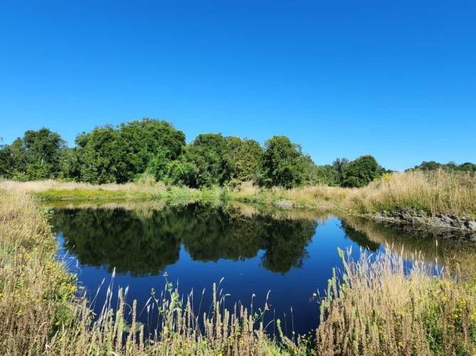 VENTA DE PARCELAS LOTEO RANCO NATIVO, 5000M2