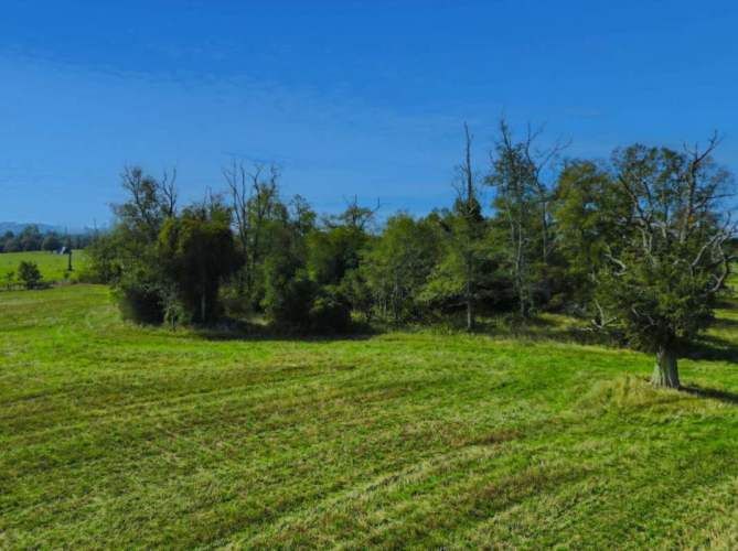 VENTA DE PARCELAS LOTEO RANCO NATIVO, 5000M2