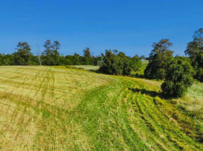 VENTA DE PARCELAS LOTEO RANCO NATIVO, 5000M2