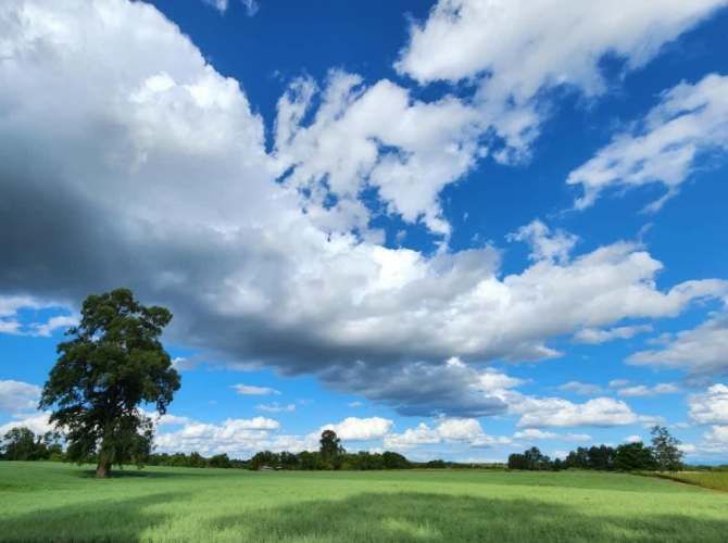 VENTA DE PARCELAS LOTEO RANCO NATIVO, 5000M2