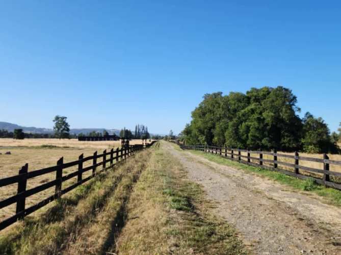 VENTA DE PARCELAS LOTEO RANCO NATIVO, 5000M2