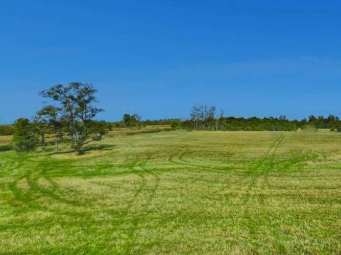 VENTA DE PARCELAS LOTEO RANCO NATIVO, 5000M2