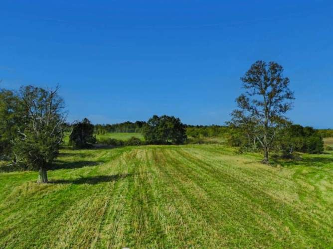 VENTA DE PARCELAS LOTEO RANCO NATIVO, 5000M2