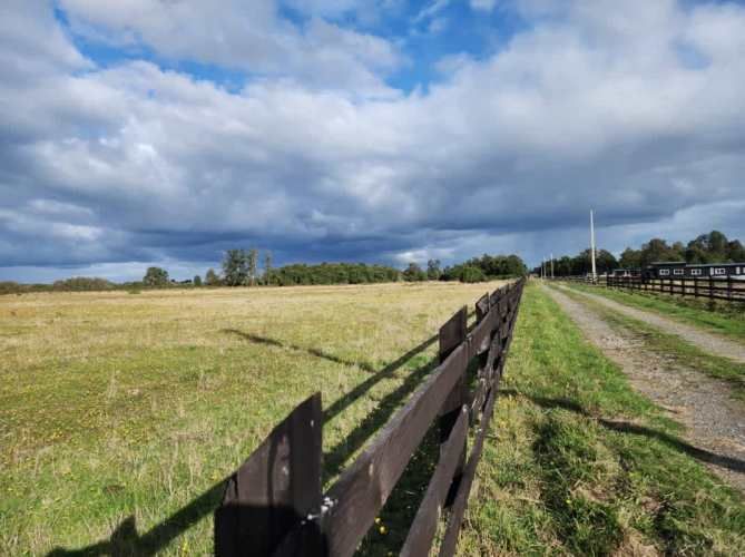 VENTA DE PARCELAS LOTEO RANCO NATIVO, 5000M2