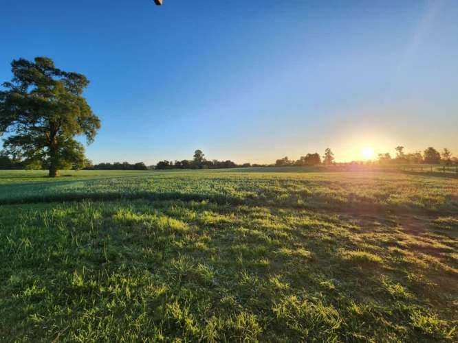 VENTA DE PARCELAS LOTEO RANCO NATIVO, 5000M2